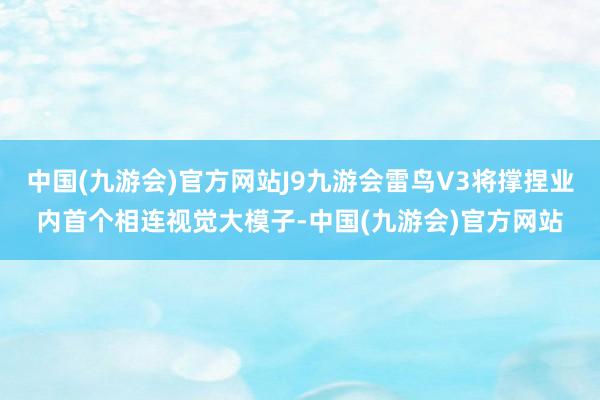 中国(九游会)官方网站J9九游会雷鸟V3将撑捏业内首个相连视觉大模子-中国(九游会)官方网站