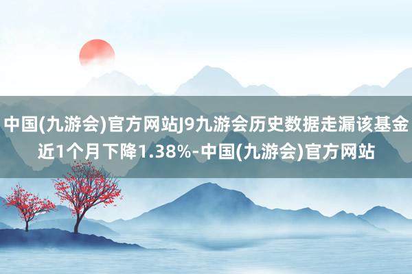 中国(九游会)官方网站J9九游会历史数据走漏该基金近1个月下降1.38%-中国(九游会)官方网站