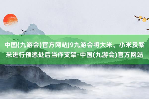 中国(九游会)官方网站J9九游会将大米、小米及紫米进行预惩处后当作支架-中国(九游会)官方网站